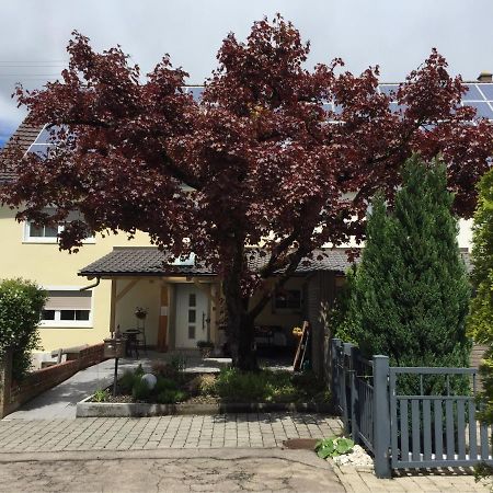 إلرتيسن Apartmentvermietung Ingrid Bolkart - Voehlino 2 المظهر الخارجي الصورة